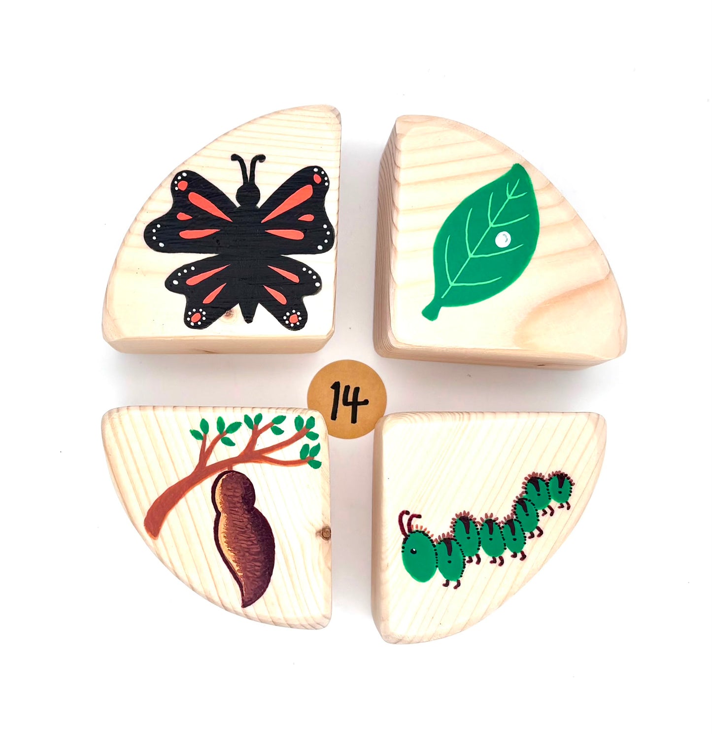The Life Cycle Collection (Item no. 14)