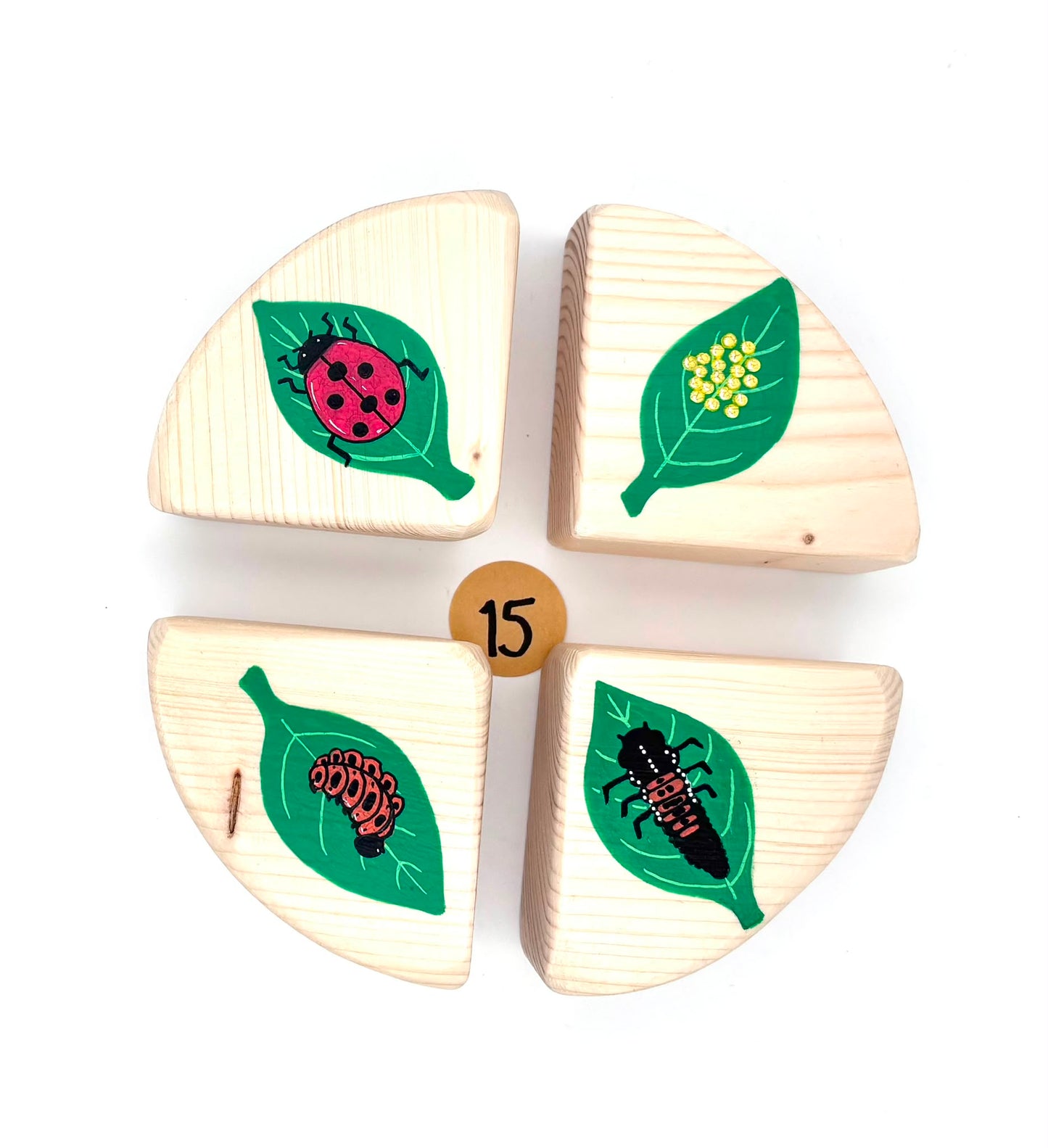 The Life Cycle Collection (Item no. 15)