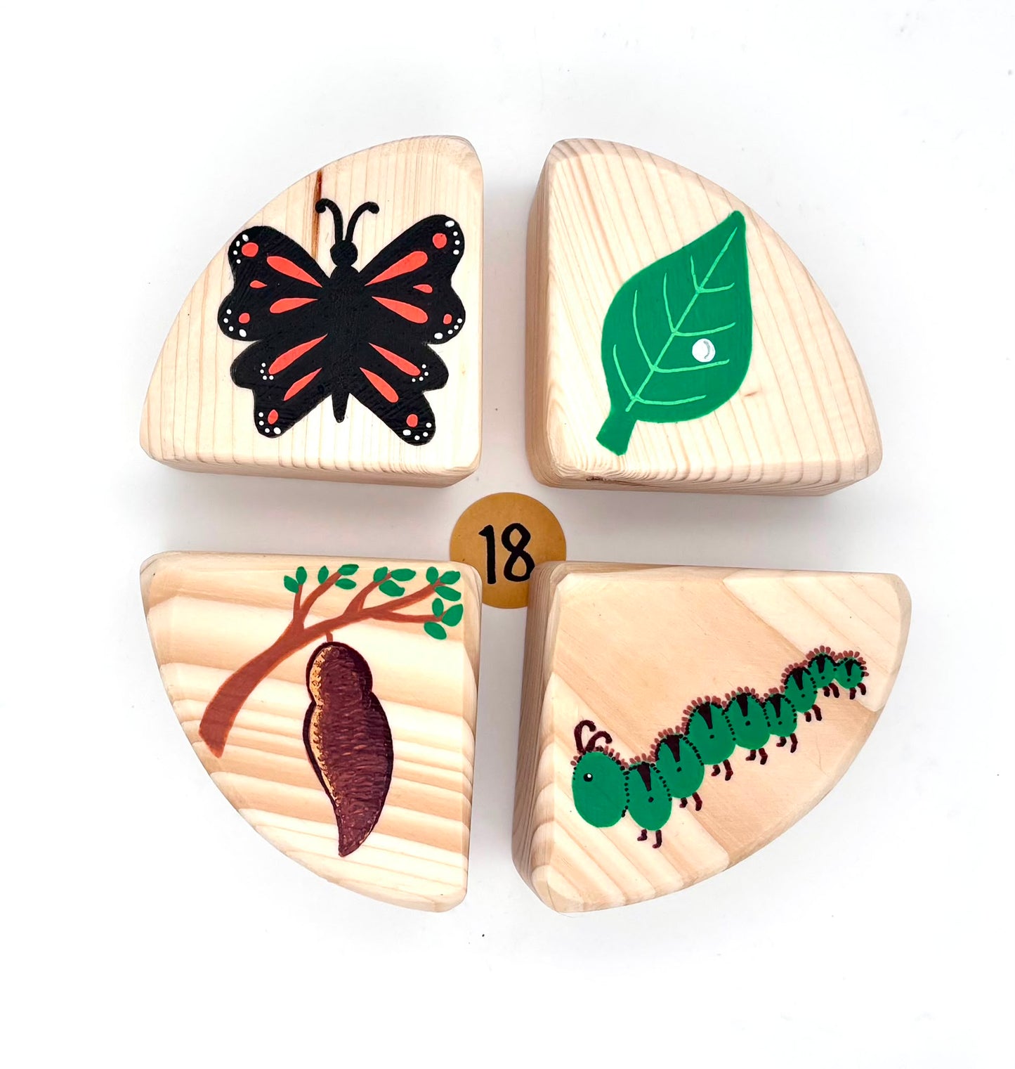 The Life Cycle Collection (Item no. 18)