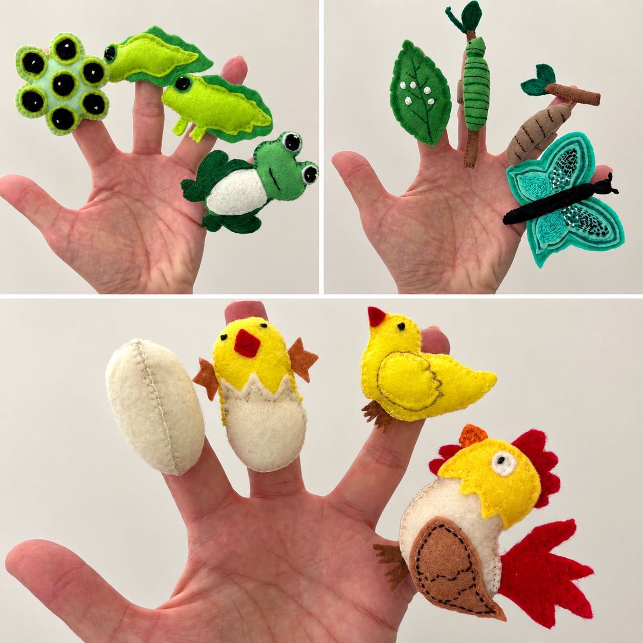 Felt life cycle of a frog (finger puppets)