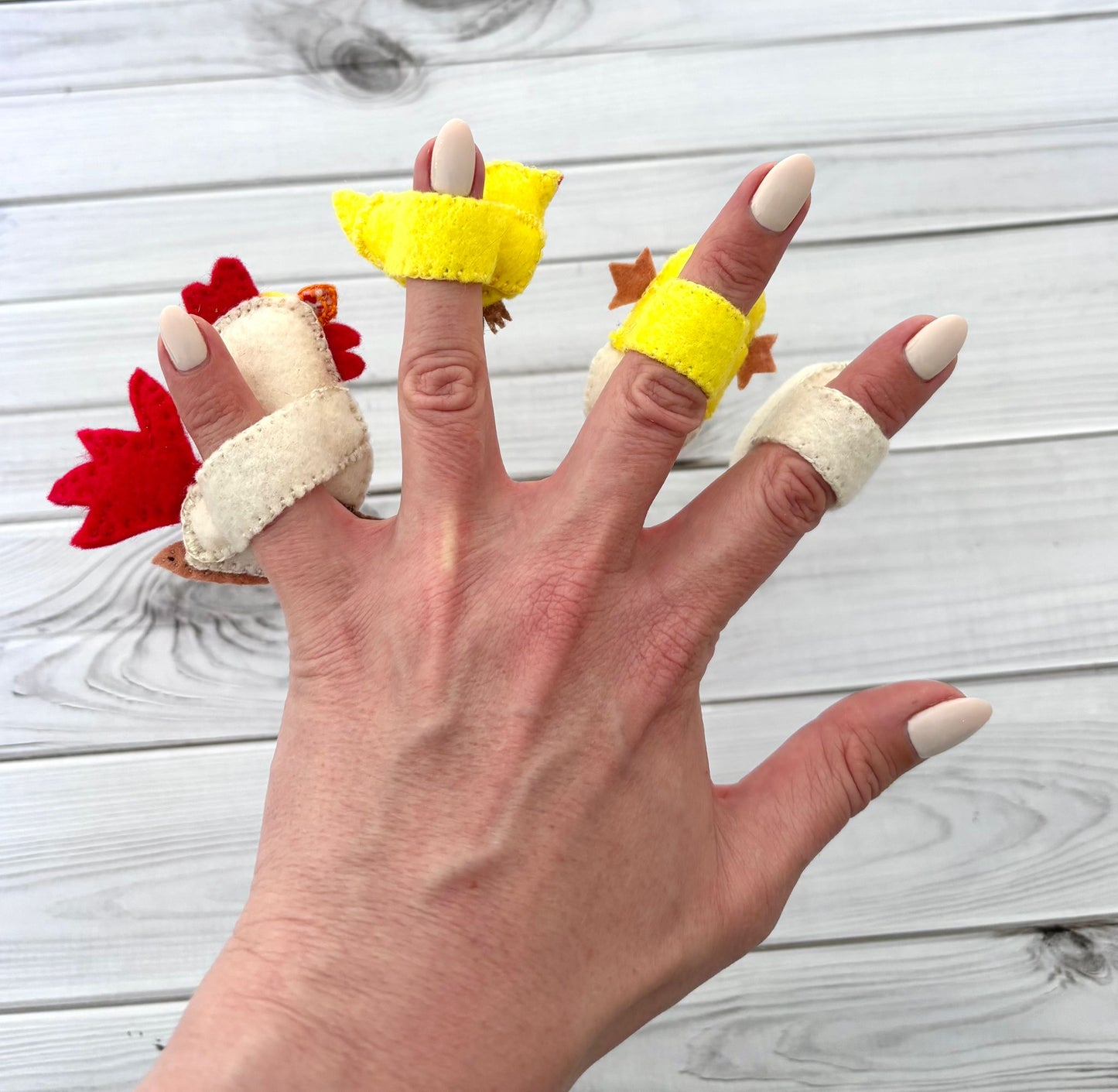 Felt life cycle of a chicken (finger puppets)
