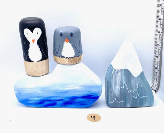 The Arctic & Antarctic  Collection (item no 09)