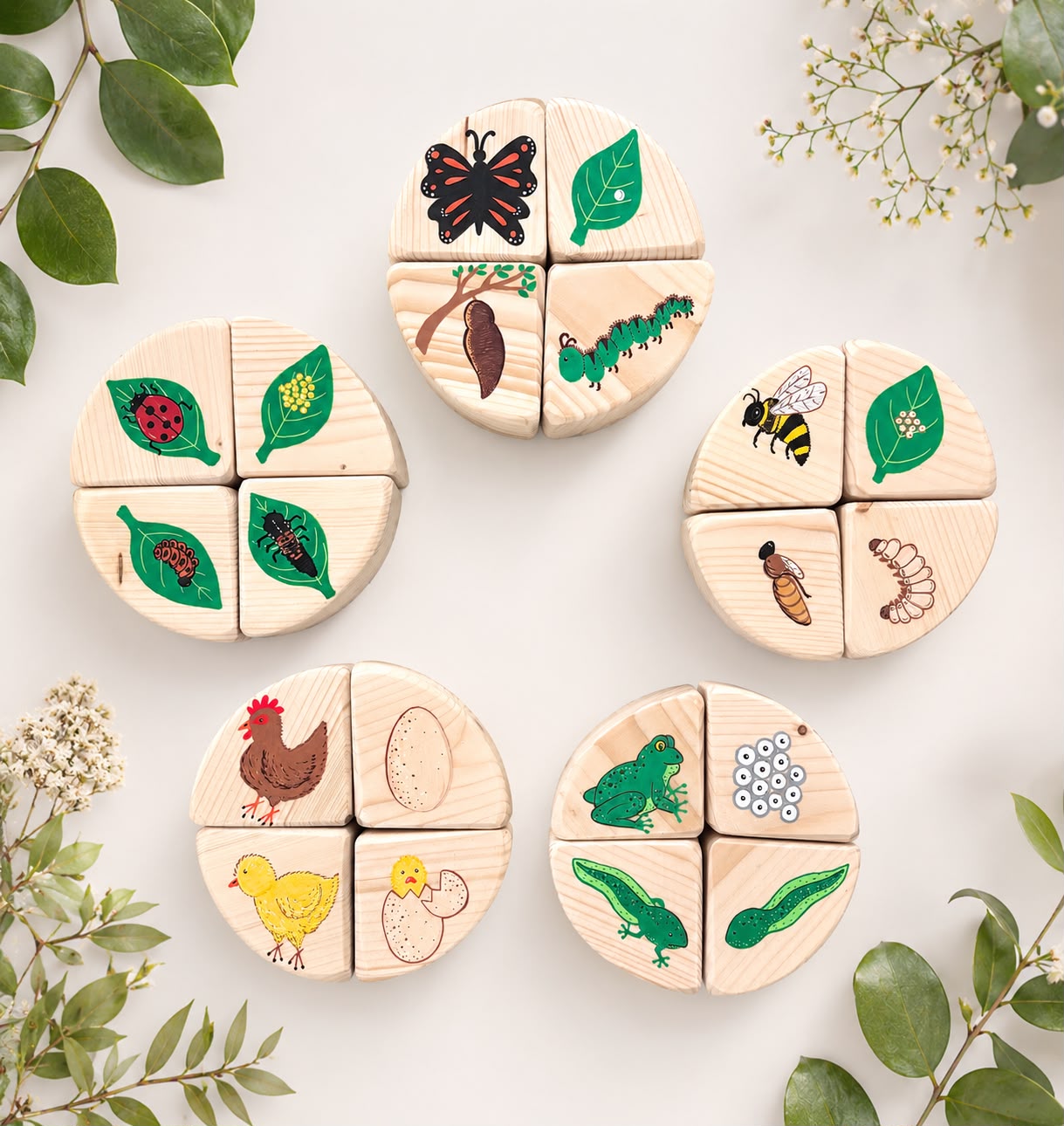 The Life Cycle Collection (Item no. 20)